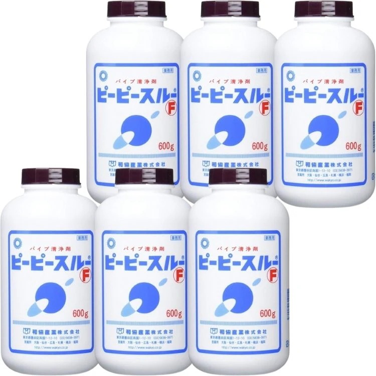 6個セット 和協産業 ピーピースルーＦ 600g 業務用