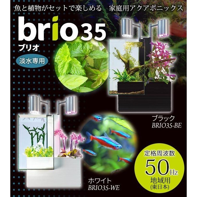 【オンライン限定商品】 魚と植物がセットで楽しめる　家庭用アクアポニックス　brio35（ブリオ）　50Hz地域用（東日本）　ホワイトBRIO35-WE 水槽・アクアリウム