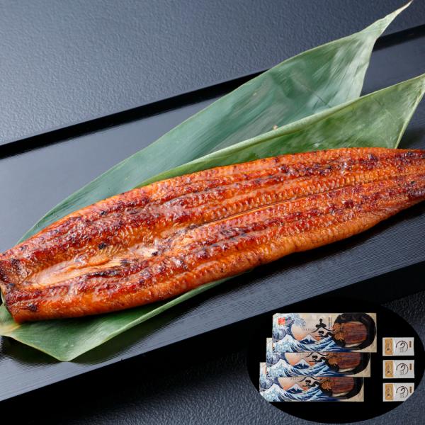 うなぎ問屋の大五鰻蒲焼3尾セット SISK