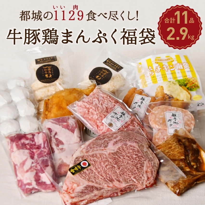 宮崎牛入りボリューム満点! 肉好きに贈るまんぷく福袋 宮崎県産（お肉11点セット・総重量2.9kgグルメ）肉のまち都城市の牛・豚・鶏を使ったご当地グルメを楽しめる贅沢なメガ盛り福袋