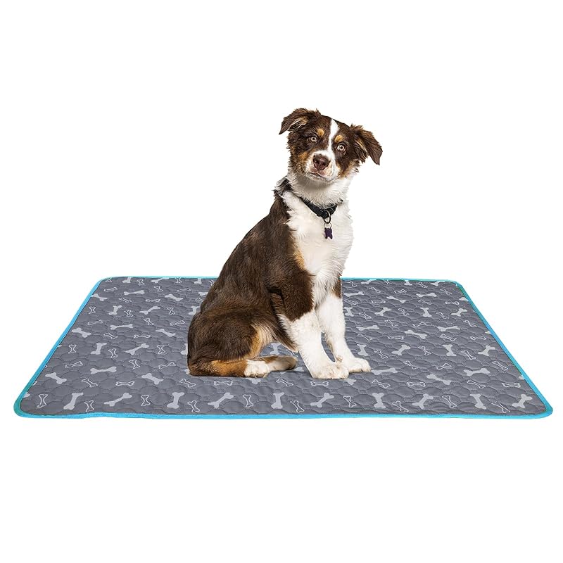 TiTiSNUGY 洗えるペットシーツ ペット用おしっこマット 猫 犬用 おしっこパッド ペットマット 洗濯機で丸洗い 繰り返し使える 超吸収 漏れ防止 滑り止め 介護 速乾 ブルーエッジデザイン 四