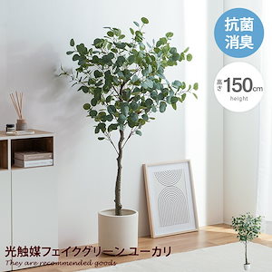 ナチュレ 観葉植物 ユーカリ フェイクグリーン 人工 室内 リビング オフィス 一人暮らし 緑 インテリア 光触媒 空気清浄 消臭 抗菌 防汚 ホルムアルデヒド分解 おしゃれ 高さ150cm 造花 植