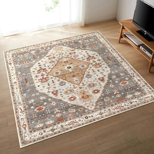 HAOCOO カーペット ラグ 洗える 185×185cm オールシーズン適用 絨毯 エスニック風 ラグマット 2畳 正方形 ふわふわ 滑り止め 低反発 防ダニ 防臭 軽量 防音マット デスクマット