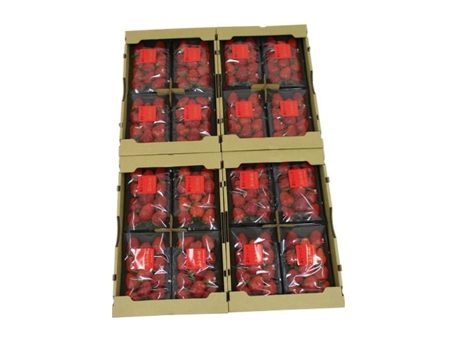 静岡県 =苺屋山崎 レッド山崎= 秀品 4pc（1pcあたり約250g）x4箱 予約 1月下旬以降