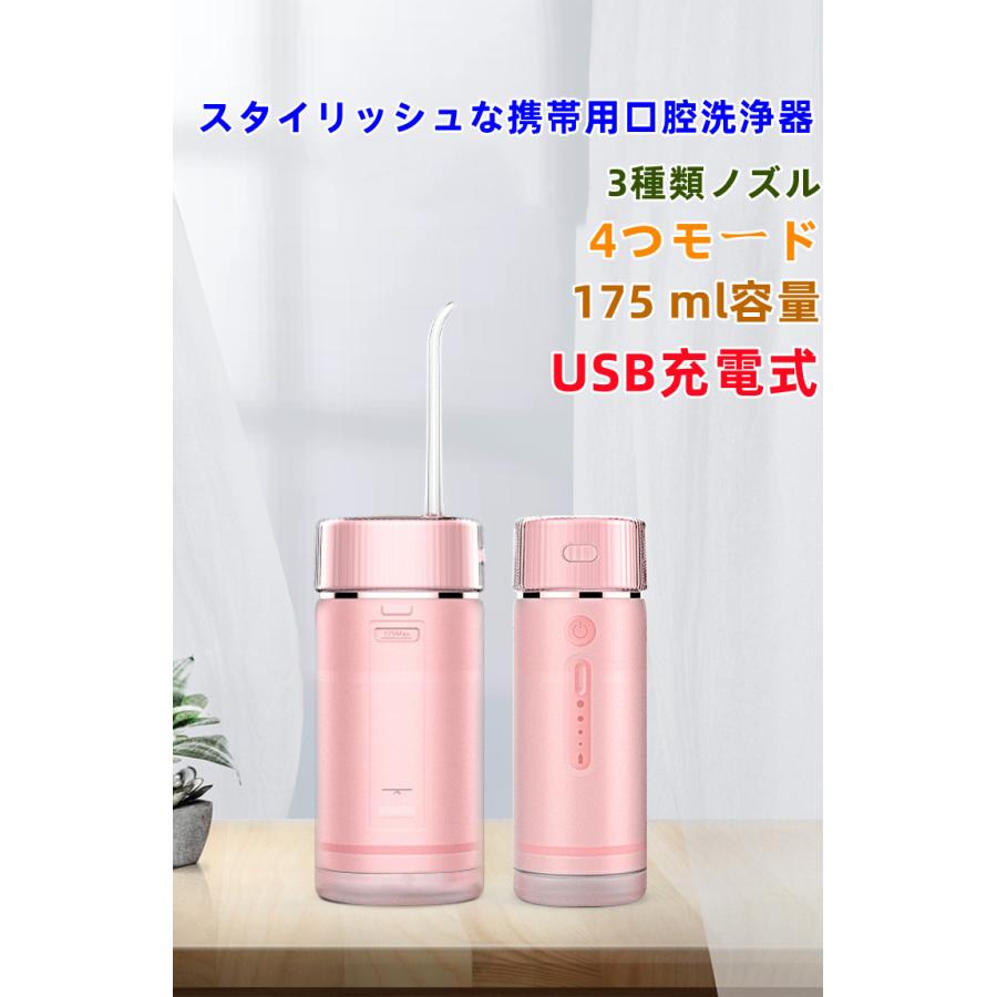 2023年最新版 携帯用電動式口腔洗浄器 ジェットウォッシャー 口腔洗浄機 4つモード 防水 歯間ジェット 歯周ポケット 洗浄 歯垢除去 USB充電式 父の日