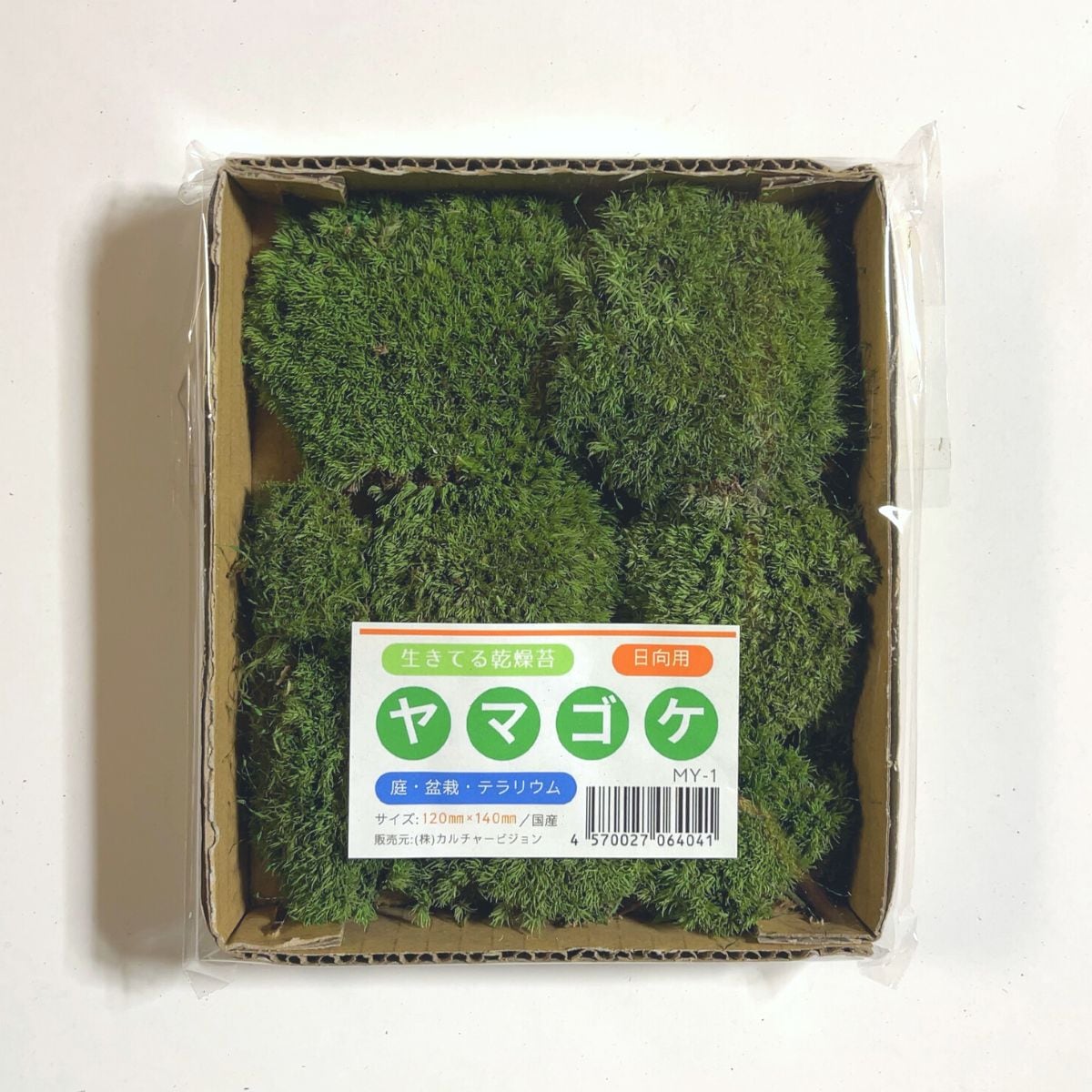 ヤマゴケ 120×140mm【3個セット】庭園 造園 盆栽 苔 ジオラマ テラリウム コケリウム 緑化 インテリア グリーン モスパネル モスウォール 花材 日本製