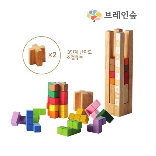 ブレインフォレストメタキューブブレインタワー幼稚園学校学院教授教区団体創造力