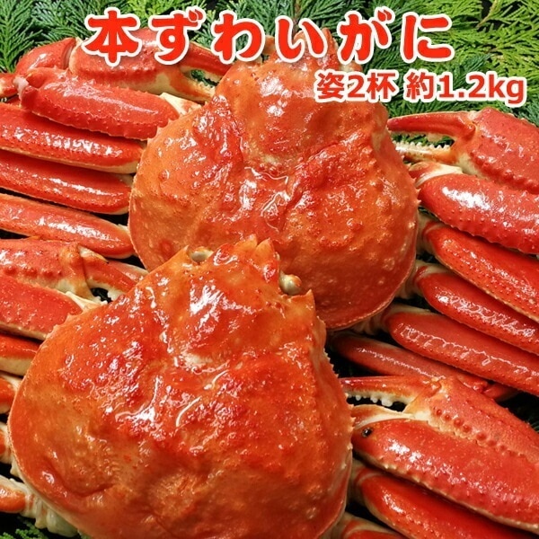 本ズワイガニ姿2ハイ 約1.2kg 数量限定