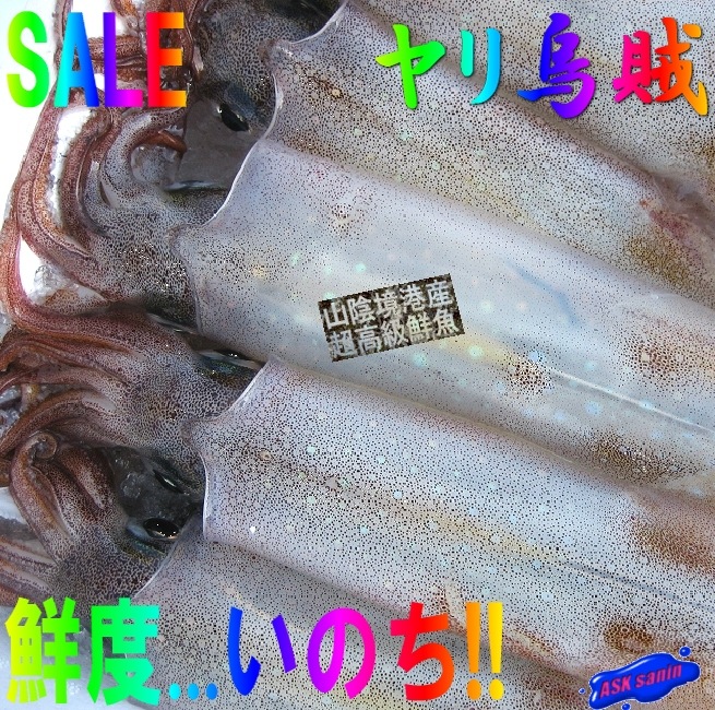 今年も大放出..!!活松葉蟹名人の浜茹で蟹 高級鮮魚珍味も満載!! 同梱取り置きについて 3日間以内の物5品目 宅配便の種別(普通冷凍)が同じ場合できるだけ1個口で発送させていただきま