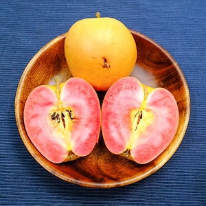 加工用　生食には適しません　なかののきらめき　りんご　家庭用　約3kg　8-14玉　長野県中野市産