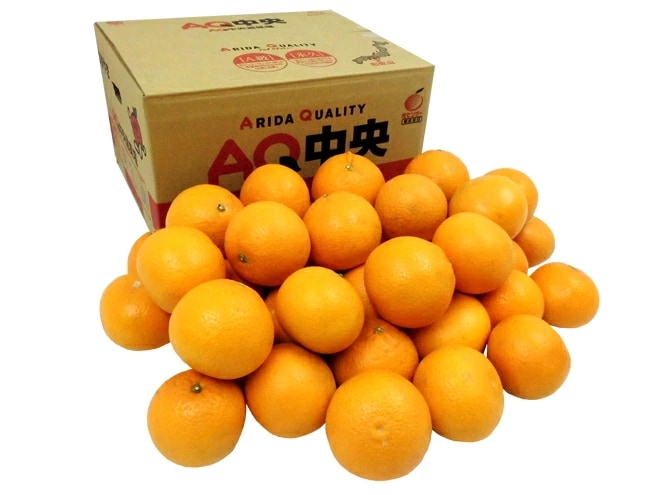 和歌山産 =清見オレンジ= 秀品 2L-4L 約10kg 予約 3月以降