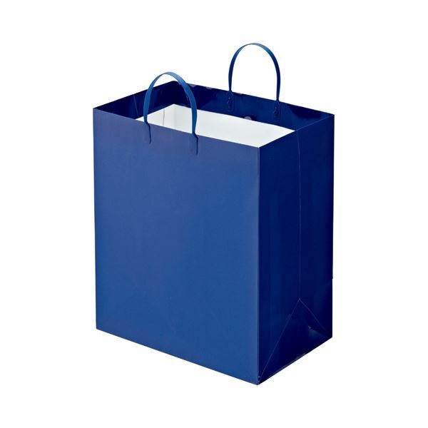 （まとめ） TANOSEE ラミネートバッグ マチ広 ヨコ350タテ400マチ幅220mm 紺 1パック（10枚） 2セット