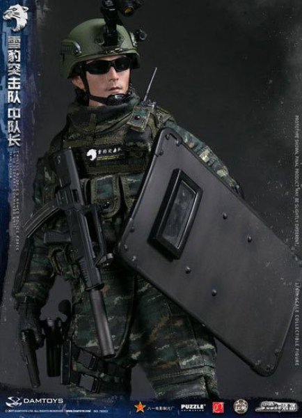 【DAMTOYS】78053 1/6 CHINESE PEOPLES ARMED POLICE 中国人民武装警察部隊特警部隊 雪豹突撃隊 中隊長 1/6フィギュア
