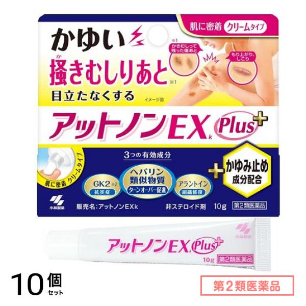 第２類医薬品 アットノンEXk かゆみ止めプラス 10g 10個セット