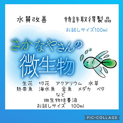 特許取得製品水草フサフサ！増やしたい方さかなやさんの微生物培養液