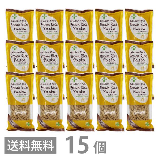 PLUS グルテンフリー ブラウンライスパスタ マカロニ 130g ×15 玄米 小麦不使用 米粉麺 乾麺 国産