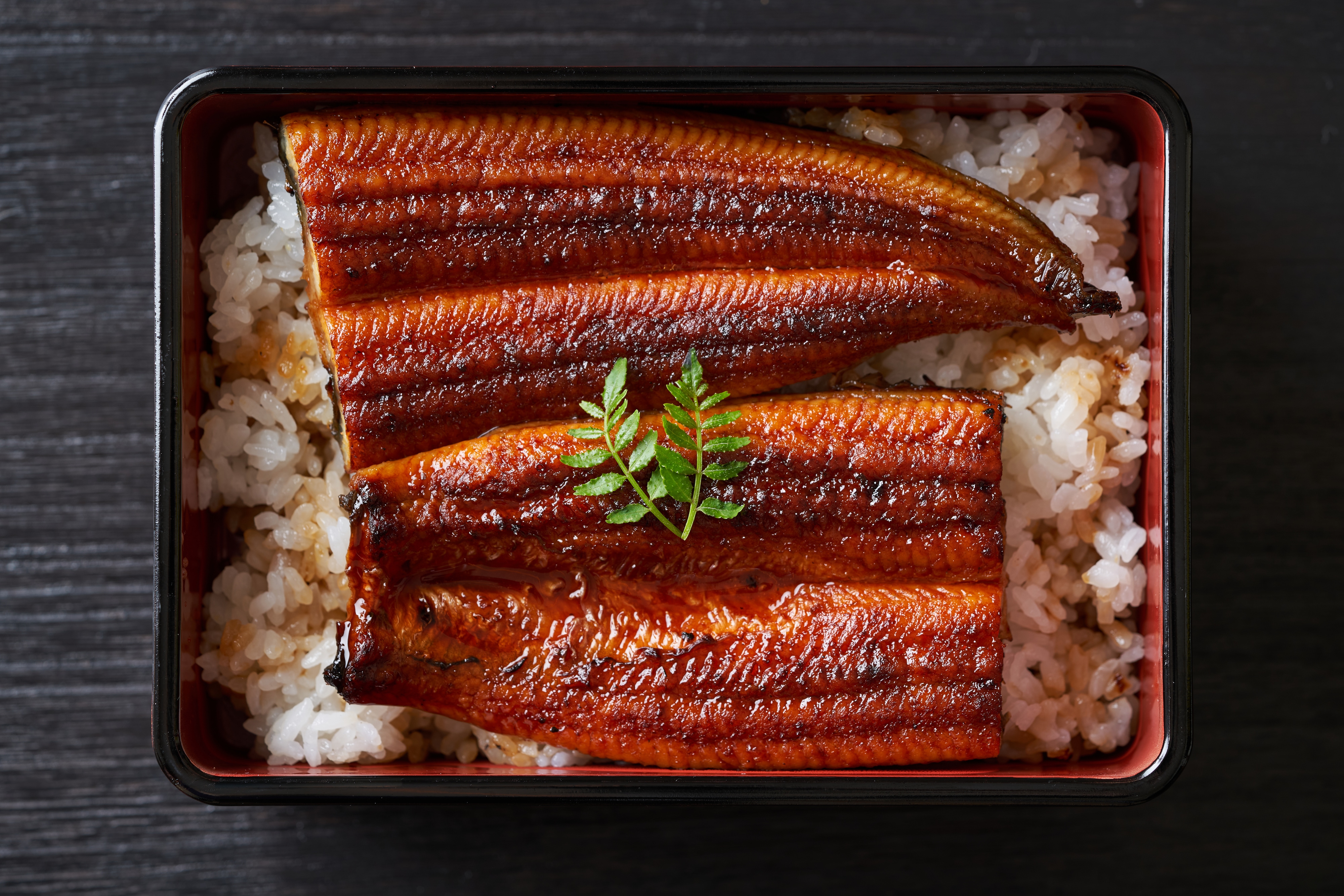 うなぎ5尾セット！超特大1尾が330ｇの鰻　合計うなぎ5尾1650g