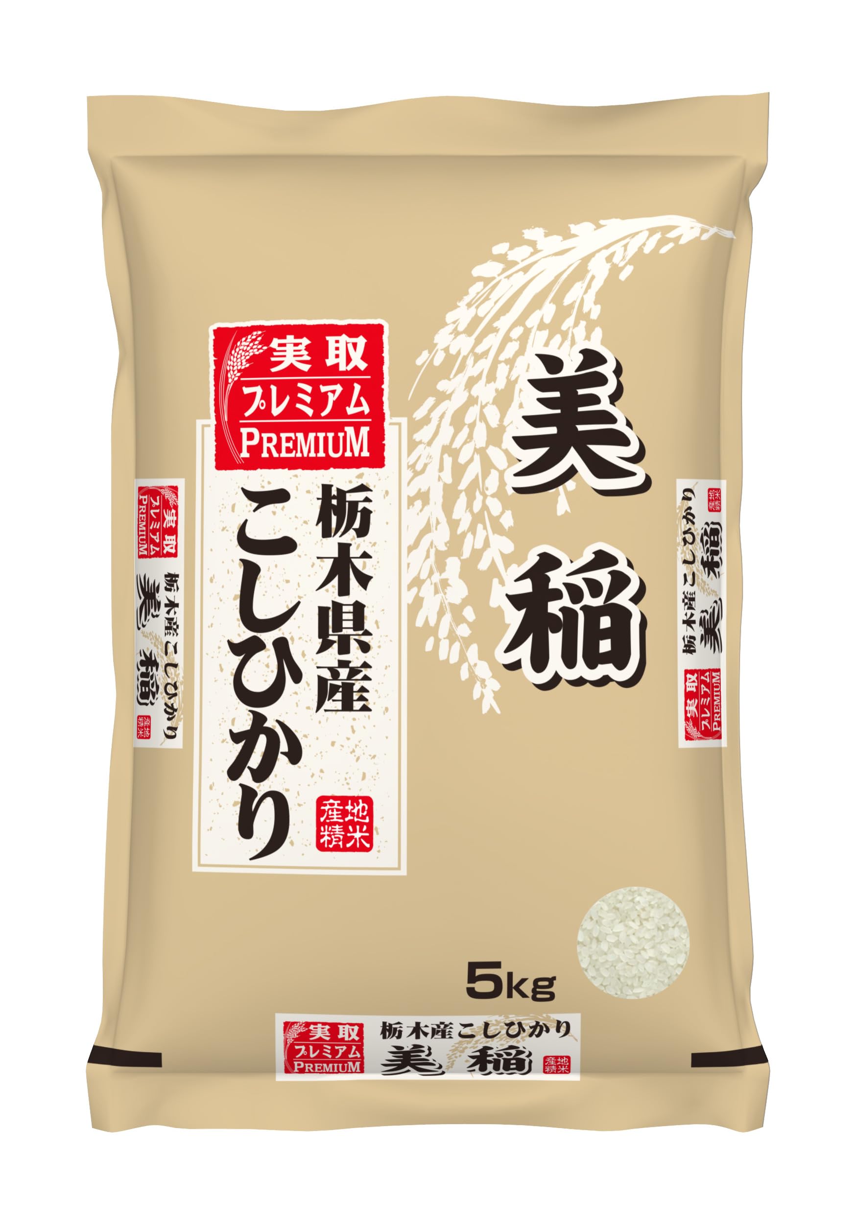 こしひかり 美稲 栃木県産 白米 コシヒカリ 令和6年産