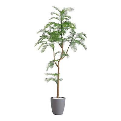 佐野登志子(日展七宝作家) 大判七宝焼『ルドゥーテの花による』額装