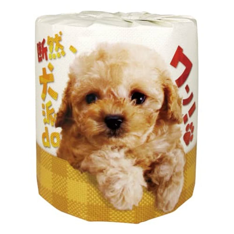 トイレットペーパー 林製紙 断然犬派daワン！！ ダブル30m 個包装 100個