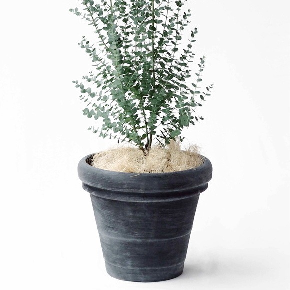 植木鉢 おしゃれ 大型 軽い ボルドー 2L(2色) 60cm 20号 ポリエチレン プランター 鉢 屋外 観葉植物向け