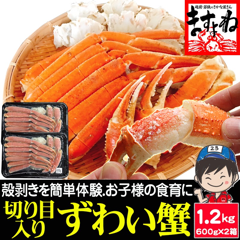 旨茹で＆殻むき簡単！特殊カット済み 茹で 本ズワイ蟹 1.2kg (600g×2箱) ボイルずわい蟹【ギフトのし対応】