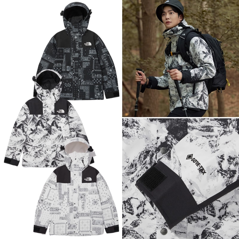 TNF 22AW正規品 NOVELTY ECO GTX MOUNTAIN JACKET 人気商品 28,275円