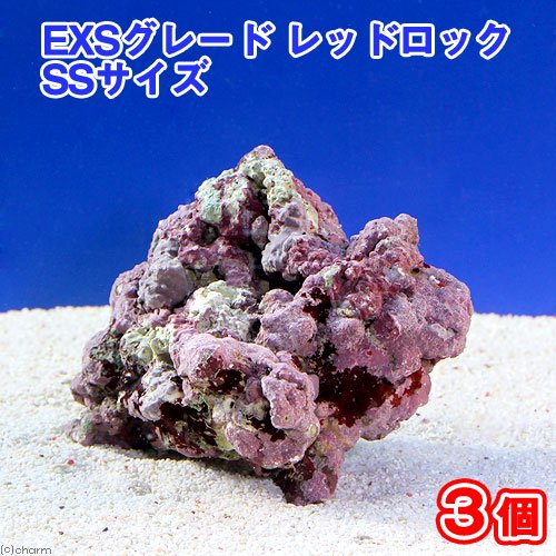 （海水魚）ライブロック　ＥＸＳグレード　レッドロック　ＳＳサイズ（３個）（形状お任せ）　北海道・九州航空便要保温　ＣＲＣ26―55―20―20―00