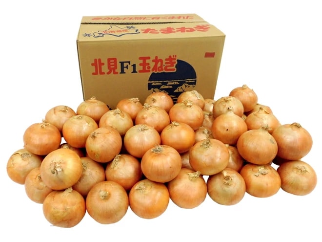 北海道 北見F1 =たまねぎ= 秀品 約20kg 大玉L-LLサイズ 玉葱 予約 8月末以降