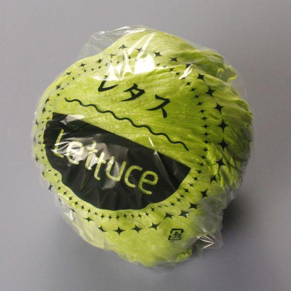 青果用袋 ベルグリーンワイズ レタス規格袋OPP15# 450角 レタス ポス無1000枚 6,639円