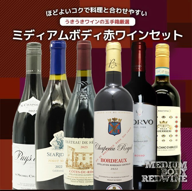 ワインセット うきうきワインの玉手箱厳選 世界の極上ミディアムボディ赤ワイン飲み比べ6本セット （送料無料ワインセット） 家飲み 巣ごもり