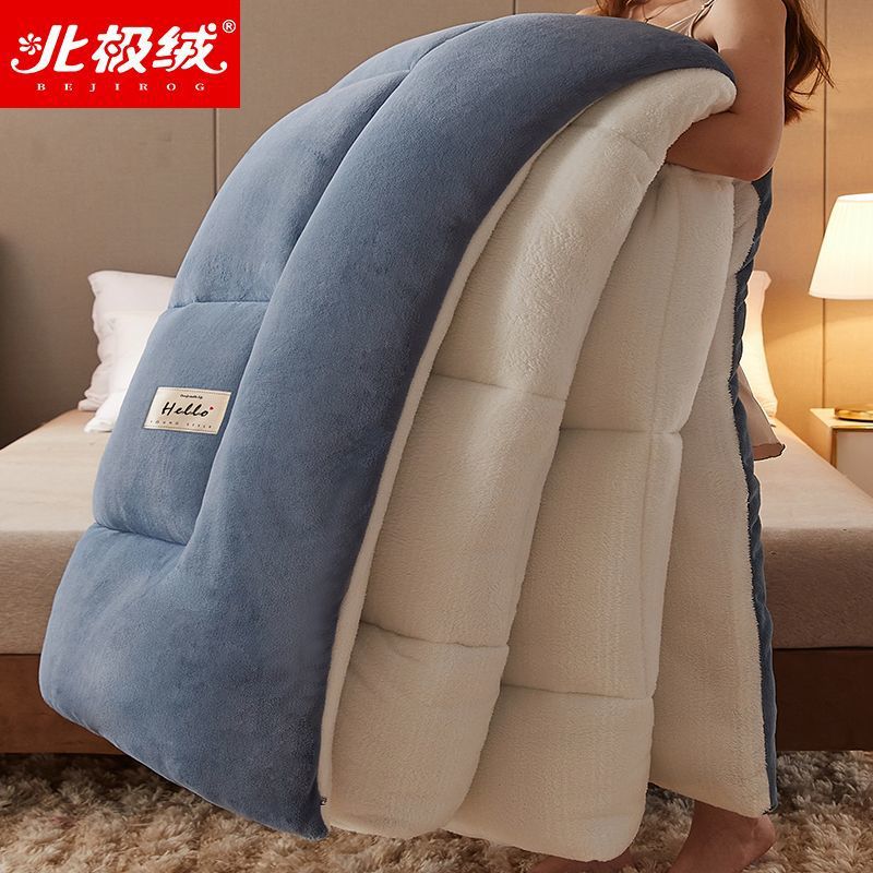 北極ベルベットラムベルベットキルト冬のキルト濃厚な暖かい寮のシングル学生秋と冬のキルトコアキルト10キャッティ
