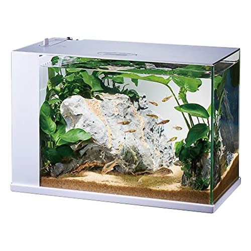 GEX ガラス AQUARIUM ラクテリア 水換え簡単水槽 サカナ用 フィルター・LED付き W34×D17.5×H24cmホワイト