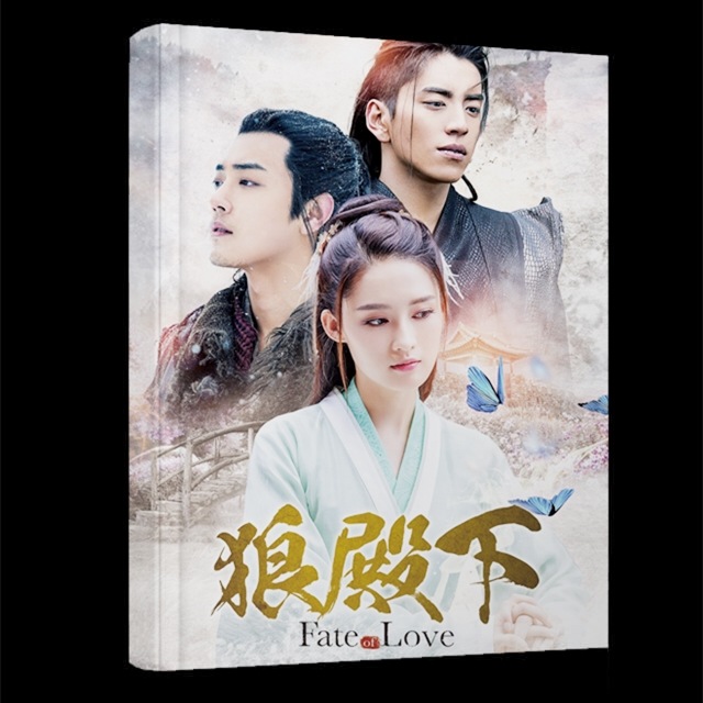 中国ドラマ『狼殿下』李沁 王大陸 肖戰 シャオジャン ファンブック 写真ブック 画集 A4サイズ写真集 72p 中国限定グッズ コレクション用 6,000円