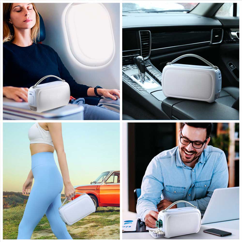 ミニ冷蔵庫 小型 ポータブル家庭用 車 新品美容品を保存する コンパクト ポータブル充電式車 ミニ冷蔵庫 新築冷蔵庫