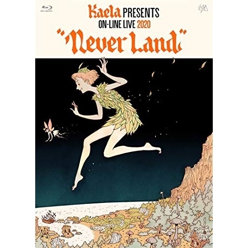 木村カエラ ／ KAELA presents on-line LIVE 2020 NEVERL.. (Blu-ray) VIZL-1885