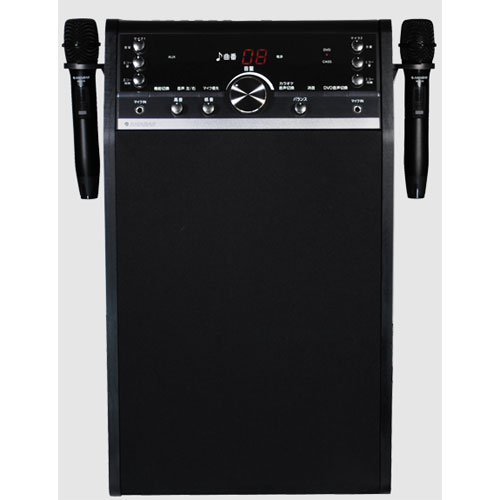 アナバス DVD-K110(カラオケ) DVDカラオケシステム DVDK110カラオケ