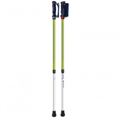 SINANO シナノ 抗ウイルスあんしん 2本杖 グリーン 650200