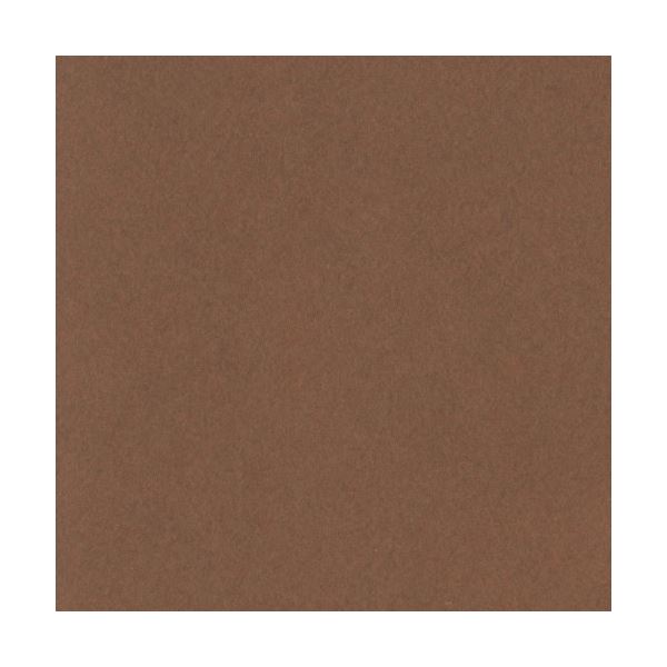 （まとめ）リンテック ニューカラーR 四つ切 こいこげちゃ 4NCR-323 100枚[x5] 13,200円