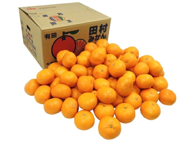 和歌山有田産 =田村みかん= 秀品 L-LL 約10kg 産地箱 予約 11月末以降