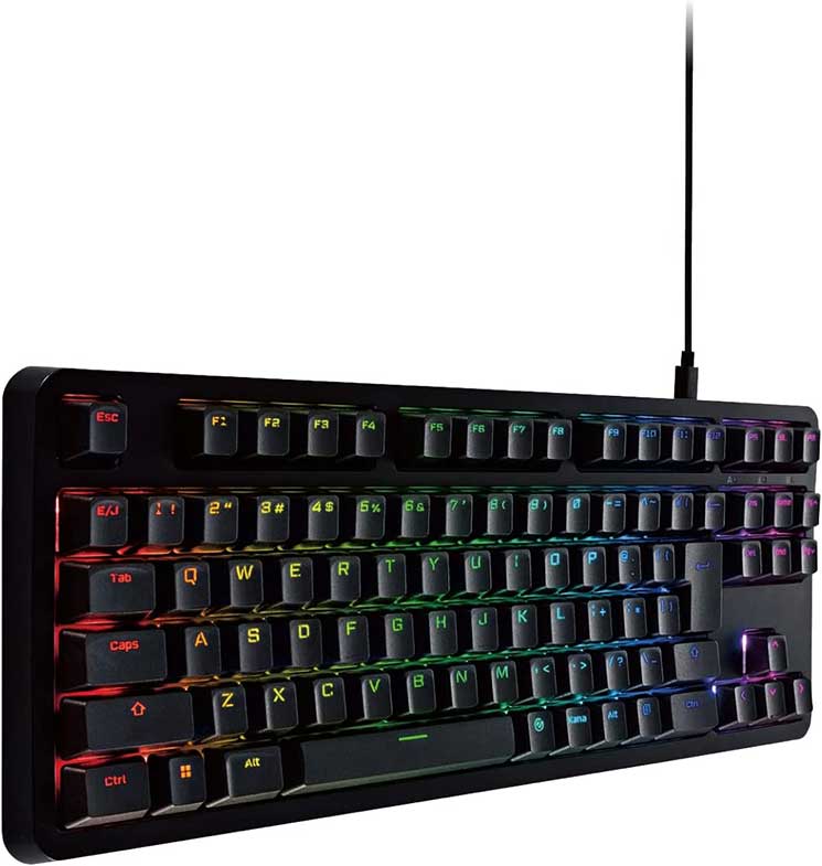 ゲーミングキーボード 【V custom】 有線 着脱式ケーブル RGB メカニカル ( 青軸 / クリッキー ) 日本語配列 テンキーレス ブラック