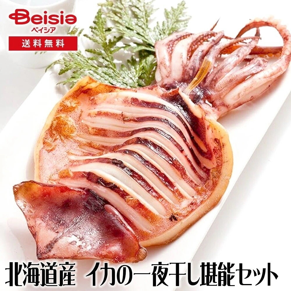 レブニーズ　北海道産 イカの一夜干し堪能セット（5枚）送料無料 冷凍
