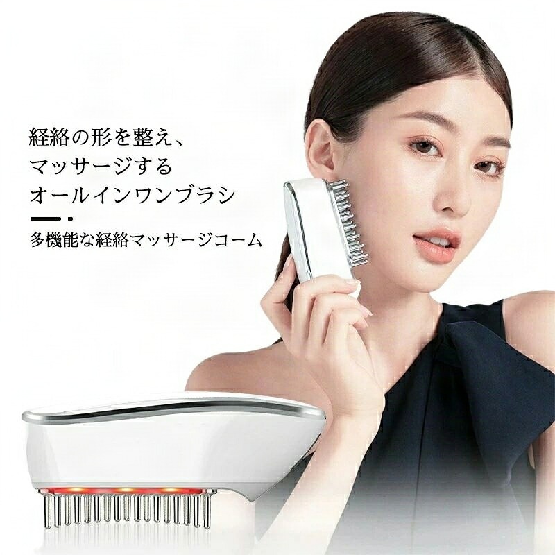 ブラシ 多機能 頭皮ブラシ 電気ブラシ 美顔器 防水 ems 頭筋 LED 櫛 電動 ヘアブラシ 頭皮ブラシ くし 頭皮ケア