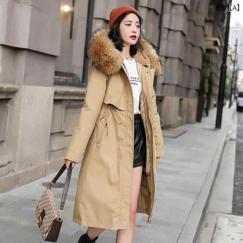 レディース パーカー マウンテン バック シーズン パーカー レディース 服 韓国 ダウン 取り外し 可能 裏地 裏起毛 厚手 ワンピース 3 着 コットンジャケット