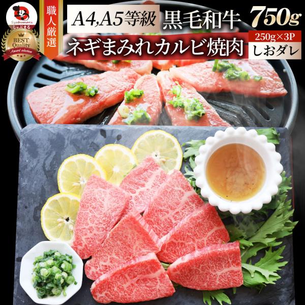 A4,A5等級 特選 黒毛和牛 カルビ焼肉 750g ねぎまみれ 旨塩ダレ（ A4 A5等級 ）牛肉 肉 お中元 ギフト 食品 お祝い 霜降り 贅沢 黒毛