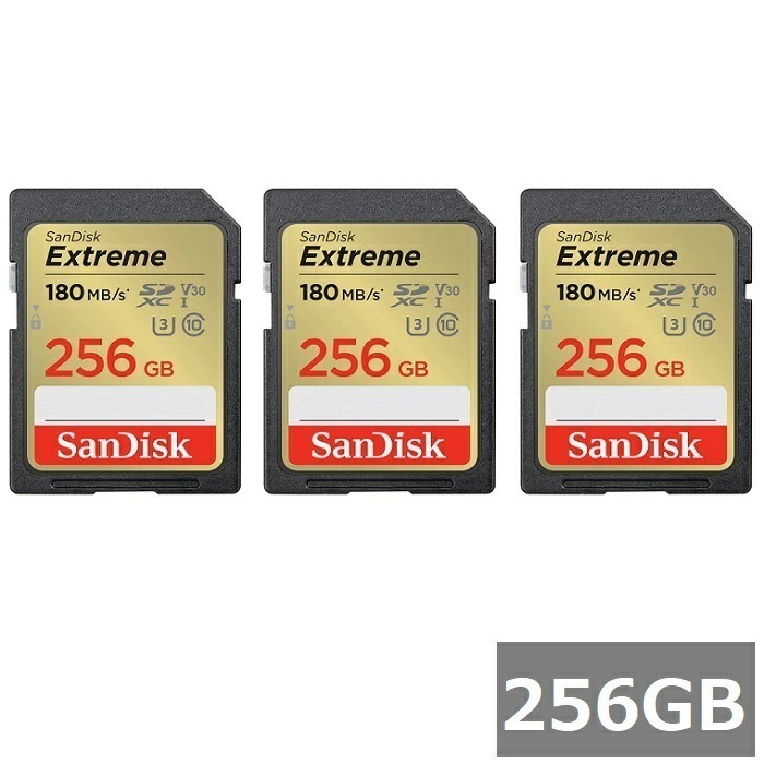 【3セット】 サンディスク SDカード SDXC SDSDXVV-256G-GNCIN Extreme 256GB Sandisk SDXCカード SD Class10 UHS-I カメラ デ