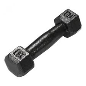 六角アレー 鉄アレー 2kg[x10本セット]