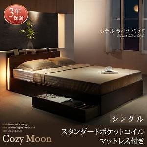 Qoo10] [組立設置付]スリムライト付収納ベッド