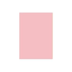 (業務用2セット) 北越製紙 カラーペーパー/リサイクルコピー用紙 B5 500枚5冊 日本製 ピンク
