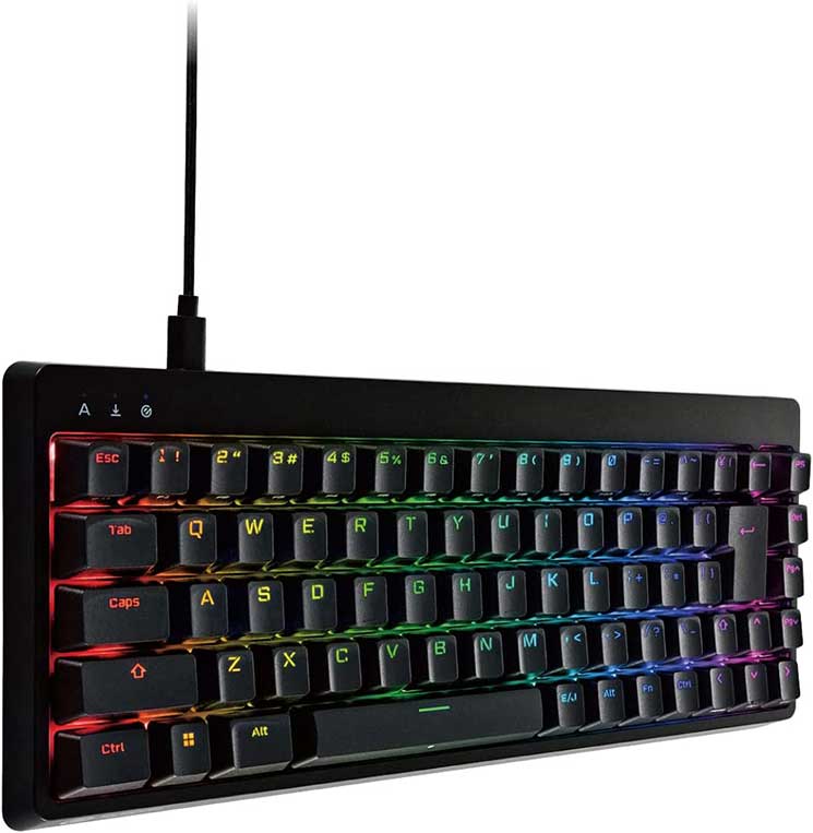 ゲーミングキーボード 【V custom】 有線 着脱式ケーブル RGB メカニカル ( 銀軸 / スピードリニア ) 日本語配列 テンキーレス USB Aポート1 ブラック